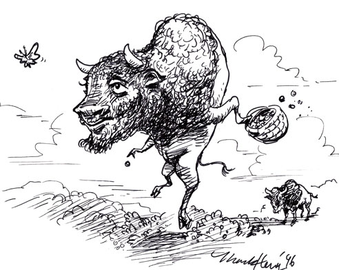 bison-illustration-by-Mark-Heng